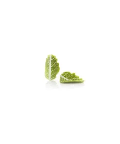 Curvy leaf green, decorazioni per torte in cioccolato