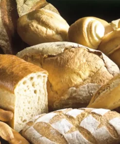 Lievito madre naturale in polvere