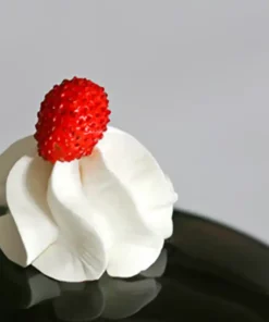 Preparato in polvere per panna vegetale