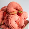 Preparato per gelato istantaneo e fragola