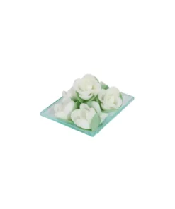 Roselline bianche in ostia