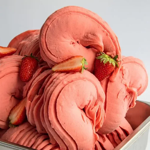 Base in polvere per Gelato a Frutta 100