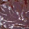 Farcitura di ciliegie rosse 35%