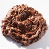 Crema Gianduia con crunch di nocciole e biscotti al cacao