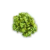 Crumble al pistacchio senza glutine