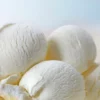 Integratore per gelato ricco di proteine