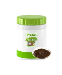 Pannacrema Tiramisù