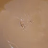 Pralinato di mandorle e nocciole