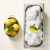 Preparato per gelato istantaneo a Limone