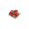 Roselline rosse in ostia