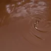 Variegato cacao magro e nocciole